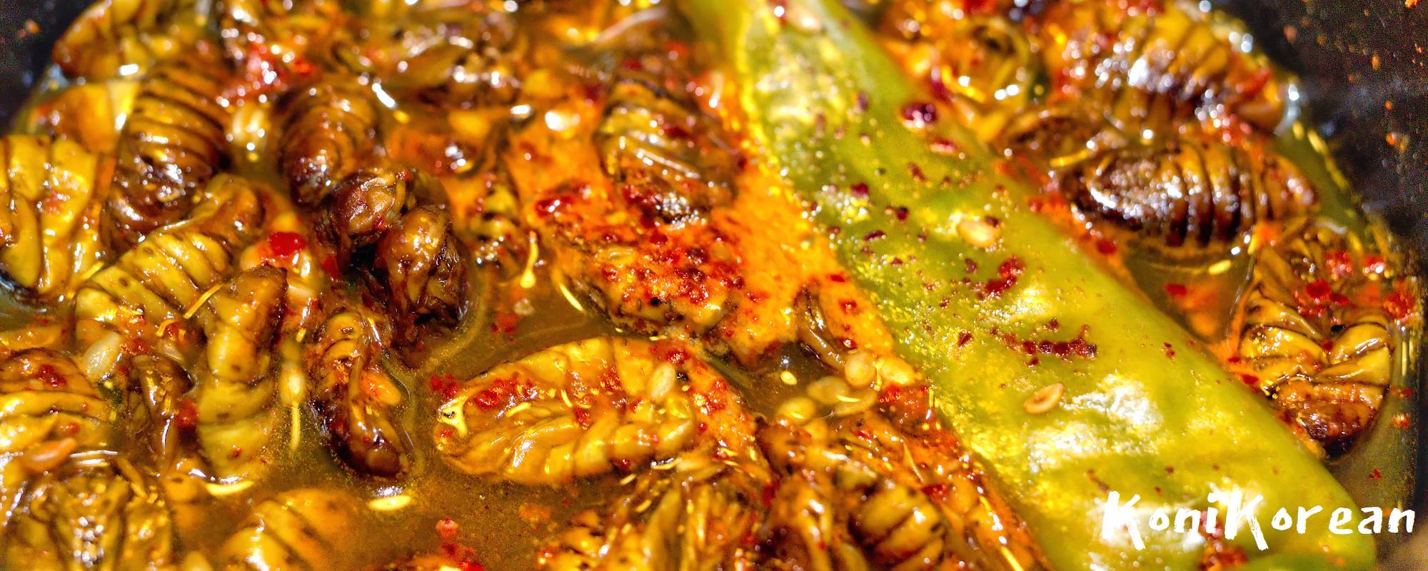 번데기 Korean silkworm pupae